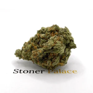 G13