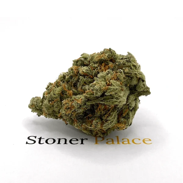 G13