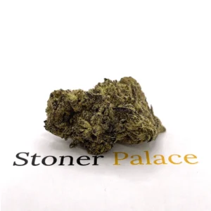 Gelato #91