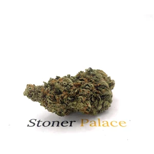 Amnesia Haze