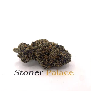 Purple Runtz