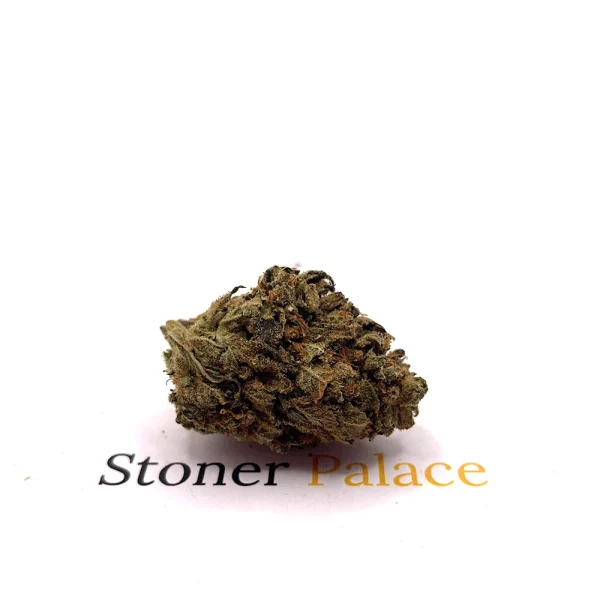 Spanish Haze Spanish Haze