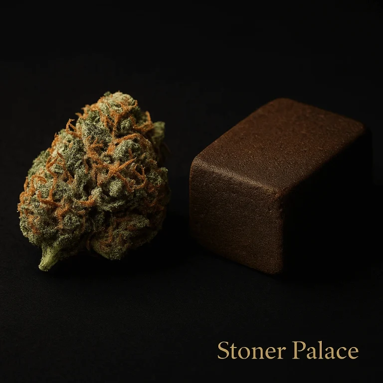 Hashish vs. erba: qual è la differenza e quale dovresti scegliere? (Spiegazione + Guida completa 2025)