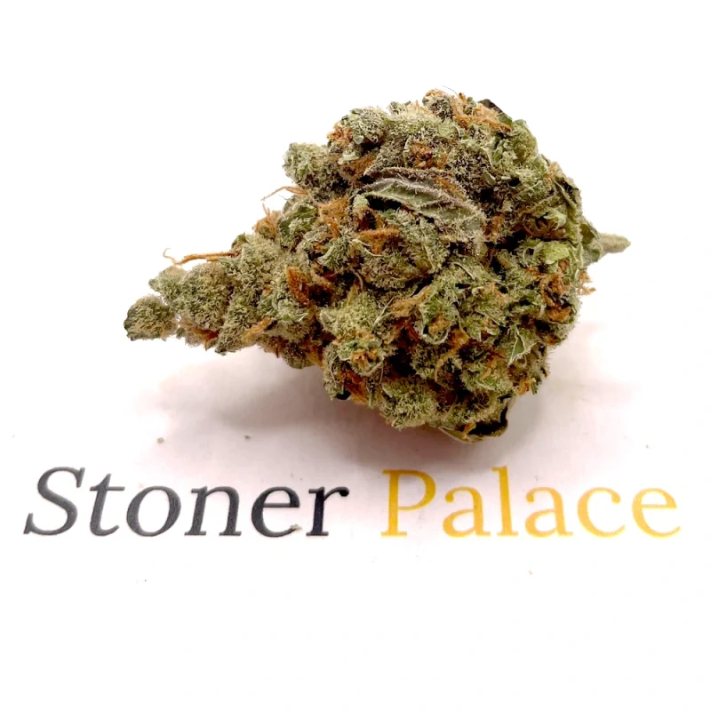 Súper neblina plateada