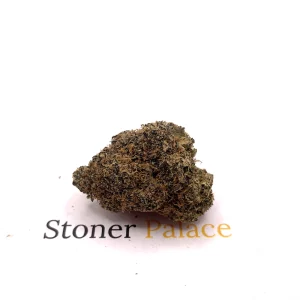 Gelato à la cerise noire