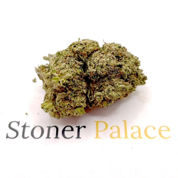 Lemon Cherry Gelato