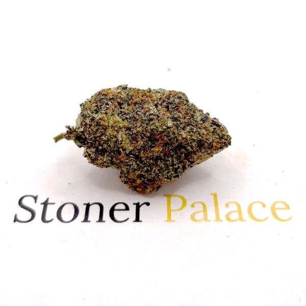 Blueberry Haze