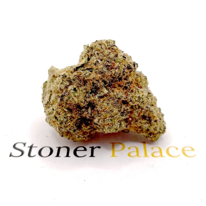 Bruce Banner
