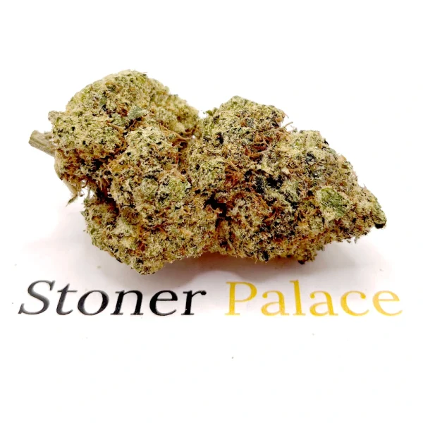 Gorilla Glue