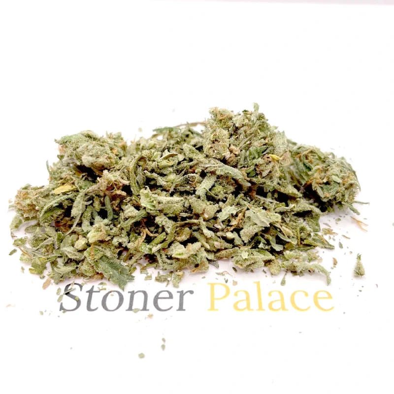 Amnesia Haze Gruis