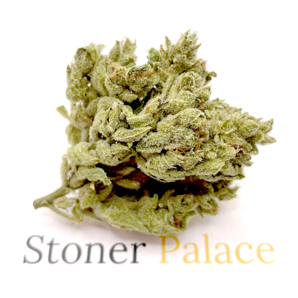 Blue Berry Cheese