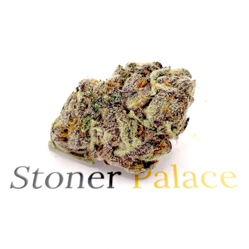 Granddaddy Purple
