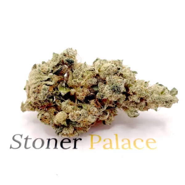 Jack Herer
