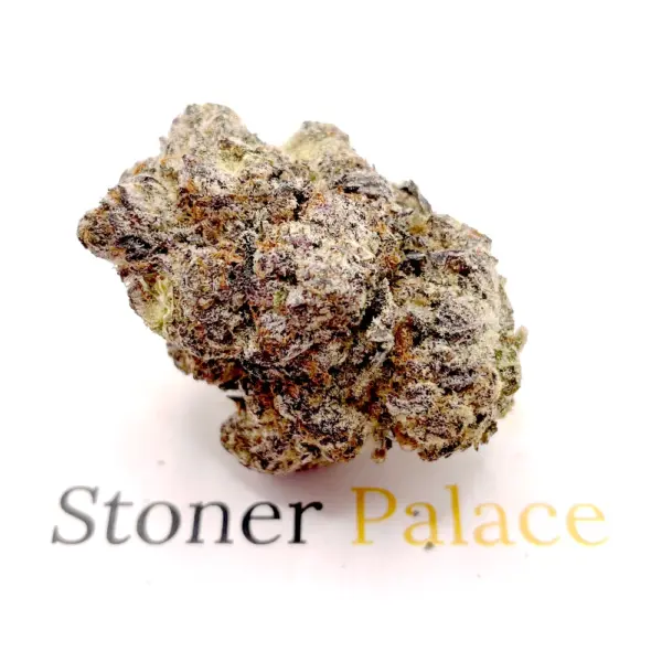 Girl Scout Cookies