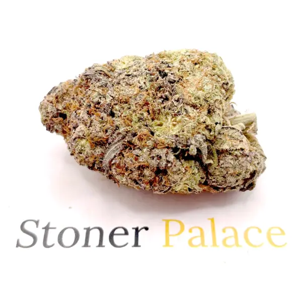 Gorilla Glue